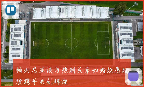 帕利尼亚谈与热刺关系如婚姻愿继续携手共创辉煌