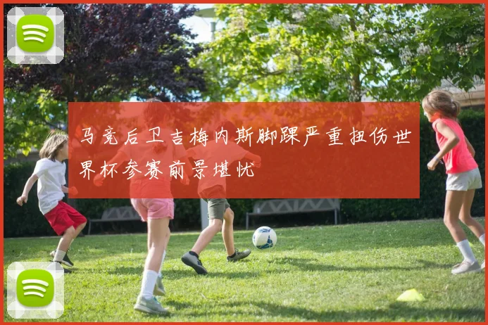 马竞后卫吉梅内斯脚踝严重扭伤世界杯参赛前景堪忧
