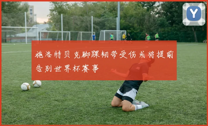 施洛特贝克脚踝韧带受伤或将提前告别世界杯赛事