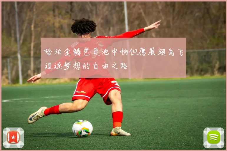 哈珀金鳞岂是池中物但愿展翅高飞追逐梦想的自由之路